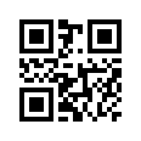 QR code 1000029