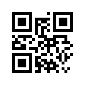 QR code 100099