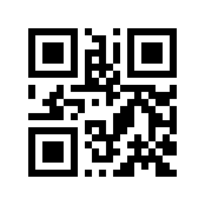 QR code 100453