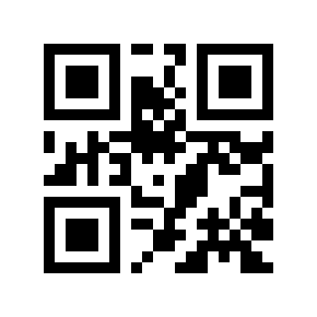 QR code 100456