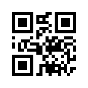 QR code 100629