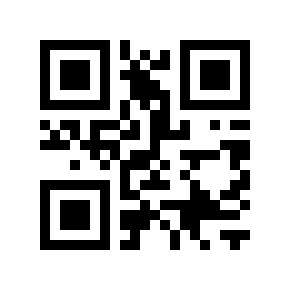 QR code 100729