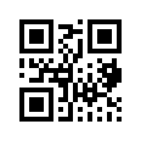 QR code 100738
