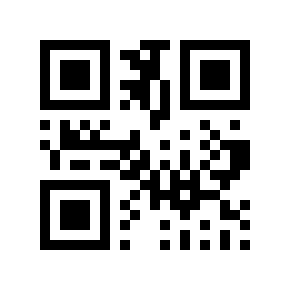 QR code 101010