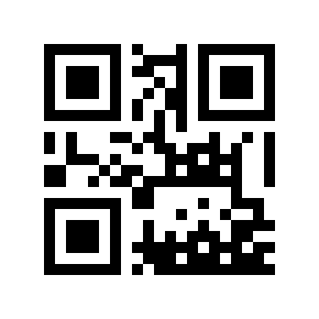 QR code 102409