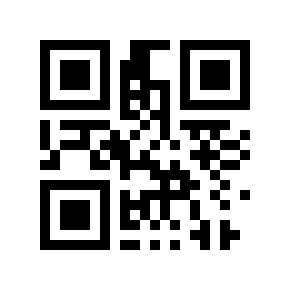 QR code 10281925