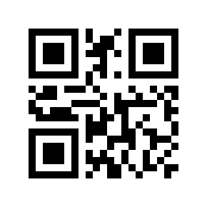 QR code 1100095
