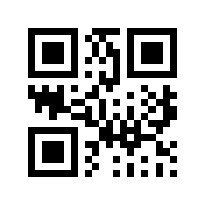 QR code 110010