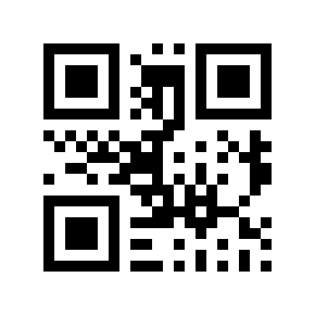 QR code 110025