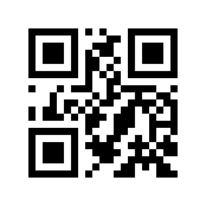 QR code 110061