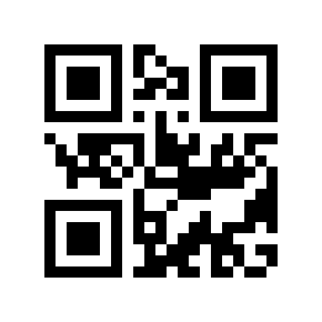 QR code 110138