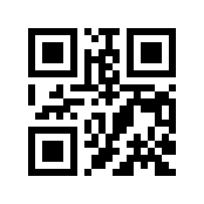 QR code 110160
