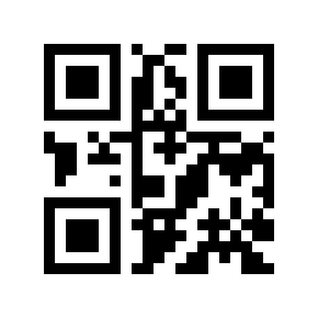 QR code 110174
