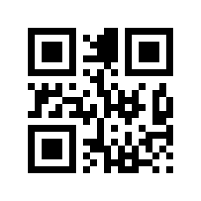 QR code 11281986
