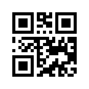 QR code 113169