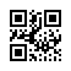 QR code 113247
