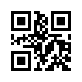QR code 113677