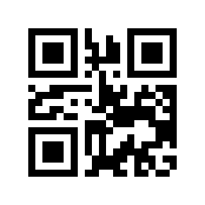QR code 113873