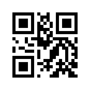QR code 117463