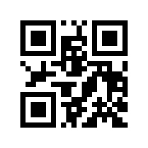 QR code 117933