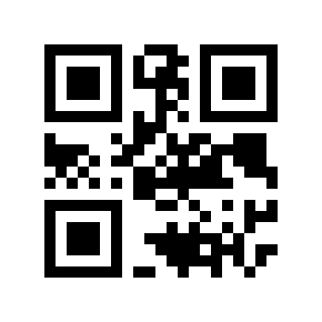 QR code 119334