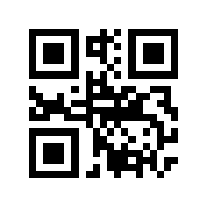 QR code 119553