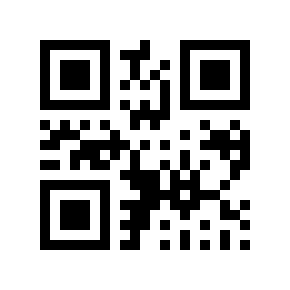 QR code 119633