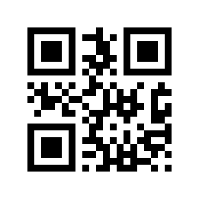 QR code 12281987