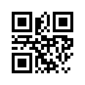 QR code 123311