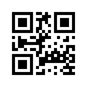 QR code 12499993