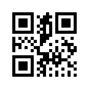 QR code 125113