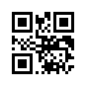 QR code 12536