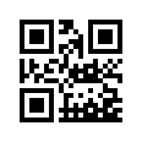 QR code 125381