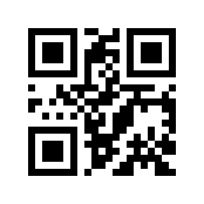 QR code 126666