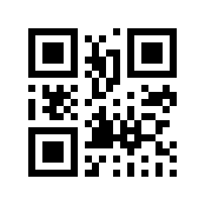 QR code 130607