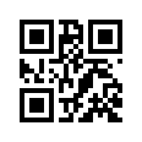 QR code 131041