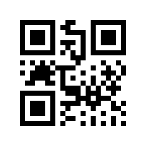 QR code 131066