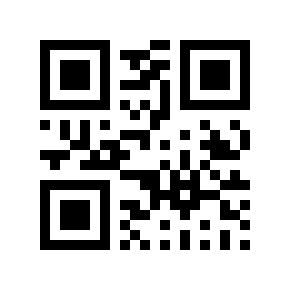 QR code 13113