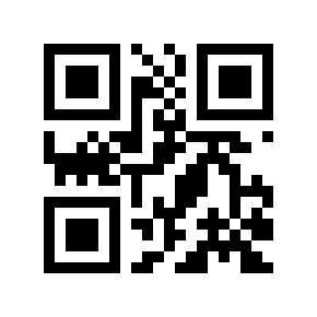QR code 131333