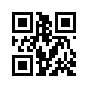 QR code 131507
