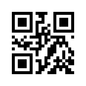 QR code 131955