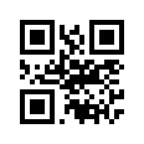 QR code 132311