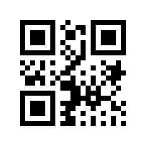 QR code 132545