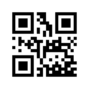QR code 133041