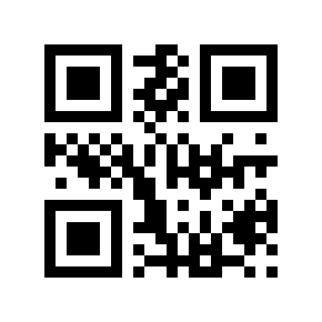 QR code 13333319