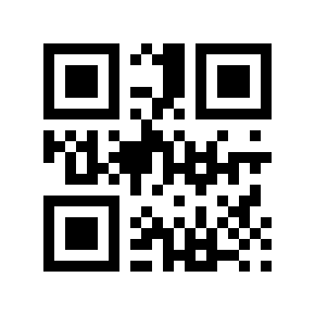 QR code 1333332