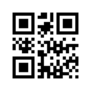 QR code 13333322