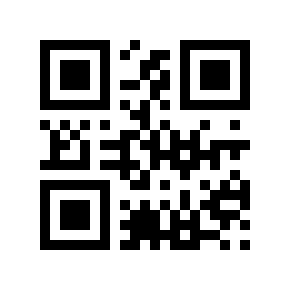 QR code 13333323