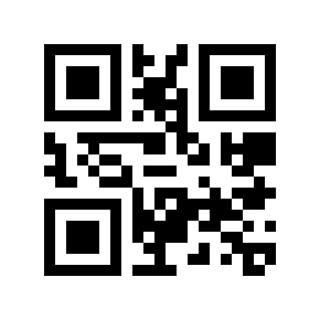 QR code 13333327