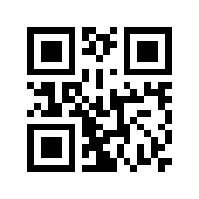 QR code 13333331